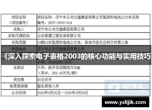 《深入探索电子表格2003的核心功能与实用技巧》